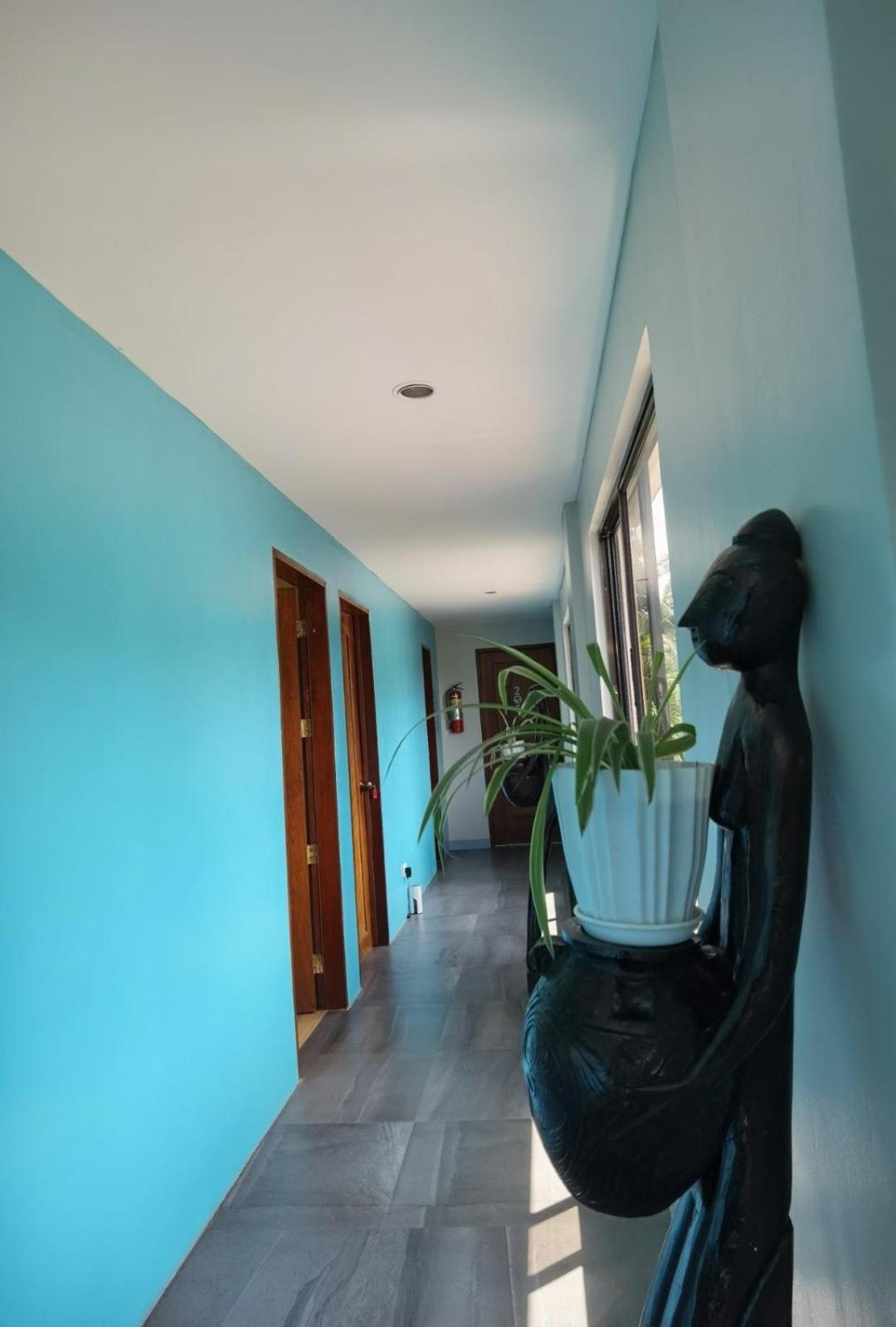 Amos Pili Tree Inn Powered By Cocotel เอลนิโด ภายนอก รูปภาพ
